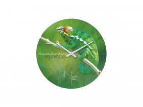 Часы настенные Nicole Time NT503 в Эсэ-Хайе - ehseh-hajya.mebel-nsk.ru | фото